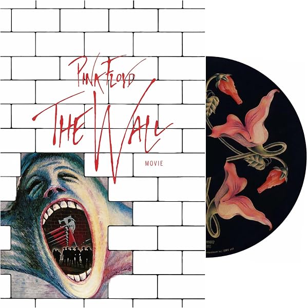 Amazon.com: The Wall : Pink Floyd: Movies & TV